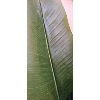 Planta Artificial Ave do Paraiso