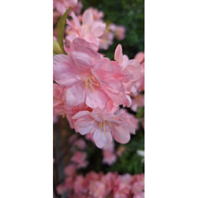 Planta Artificial Amendoeira com Flor